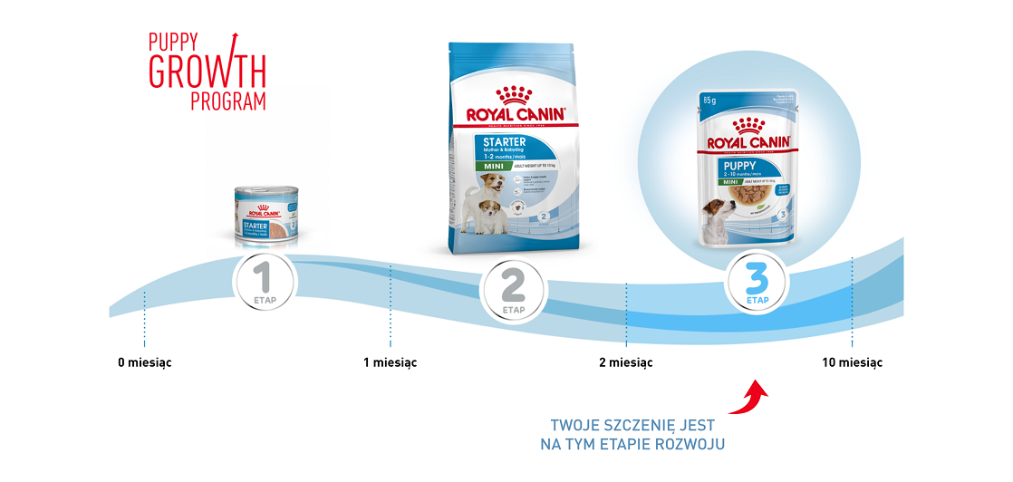 ROYAL CANIN Mini puppy 12x85 g 